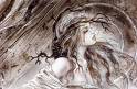 le peintre