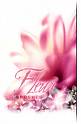 les fleur c'est comme