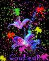 couleur enchanteresse